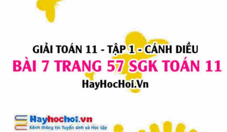 Giải bài 7 trang 57 Toán 11 tập 1 SGK Cánh Diều